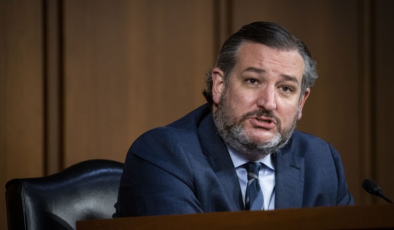 Sen. Cruz Tells the Dems that One COVID Bill Would Pass '100-0'