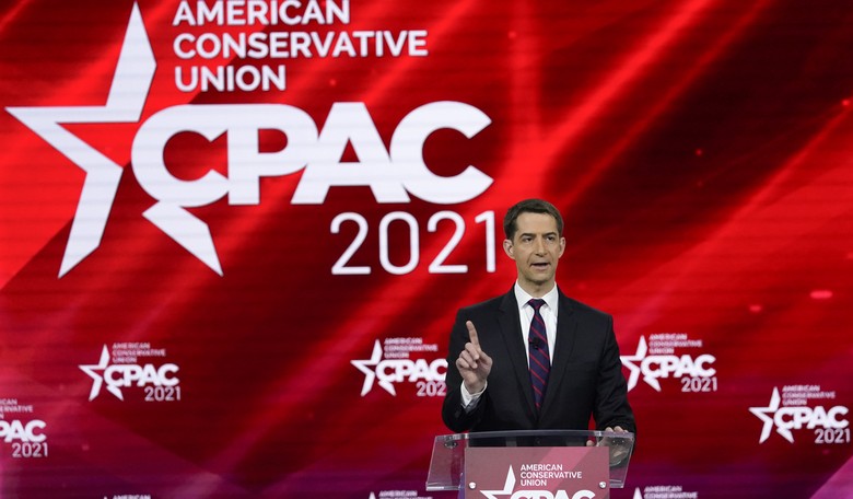 GOP 'Farm Team' Is Deep, Is Talented, and Should Be Called Up