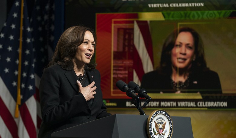 Blacks Loudly Declare Their Lack of Support for a Kamala Harris Presidency