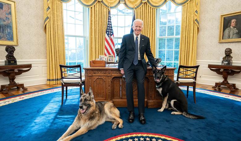 Biden's Dog Got Violent at the White House