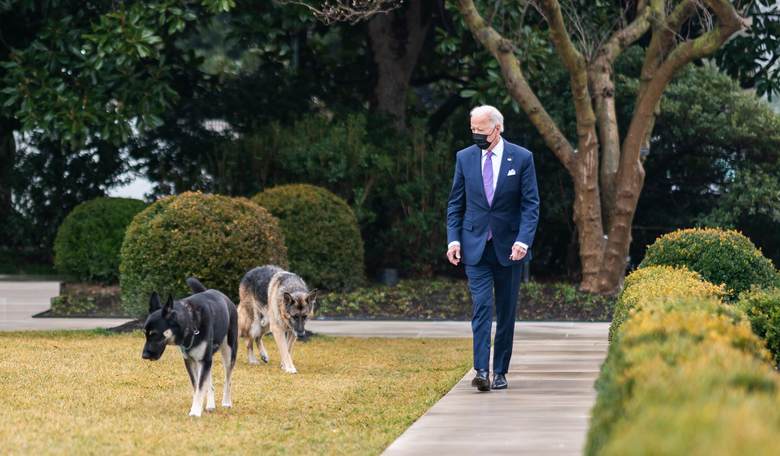 'Inconsiderate, Entitled and Lousy,' Biden Family Criticized Over Their Dog's Aggressive Behavior