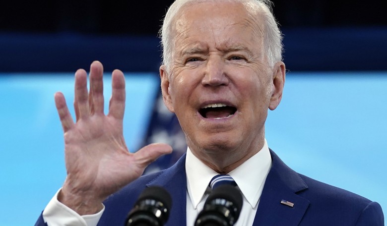 Joe Biden's Bid to Remake America