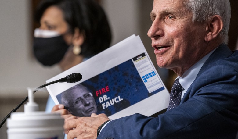 Rand Paul Corners Fauci in Heated Senate Hearing