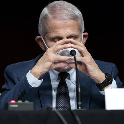 CIA COVID Whistleblower Simple Instruction to the Press When Covering Fauci