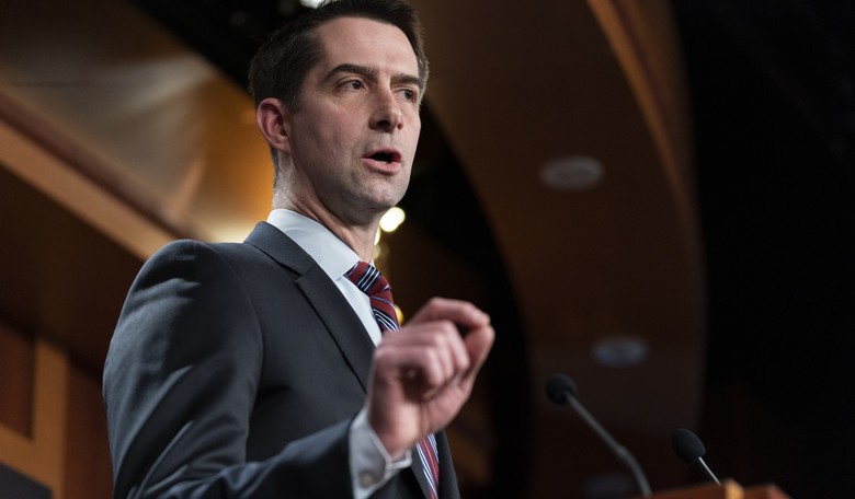 Tom Cotton Issues 'Friendly Reminder' to ICC After Arrest Warrants for Netanyahu, Gallant
