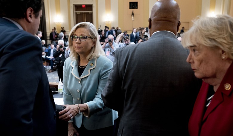 House Dem Gives the Game Away on How Much the J6 Committee Is 'Checking' Their 'Facts'