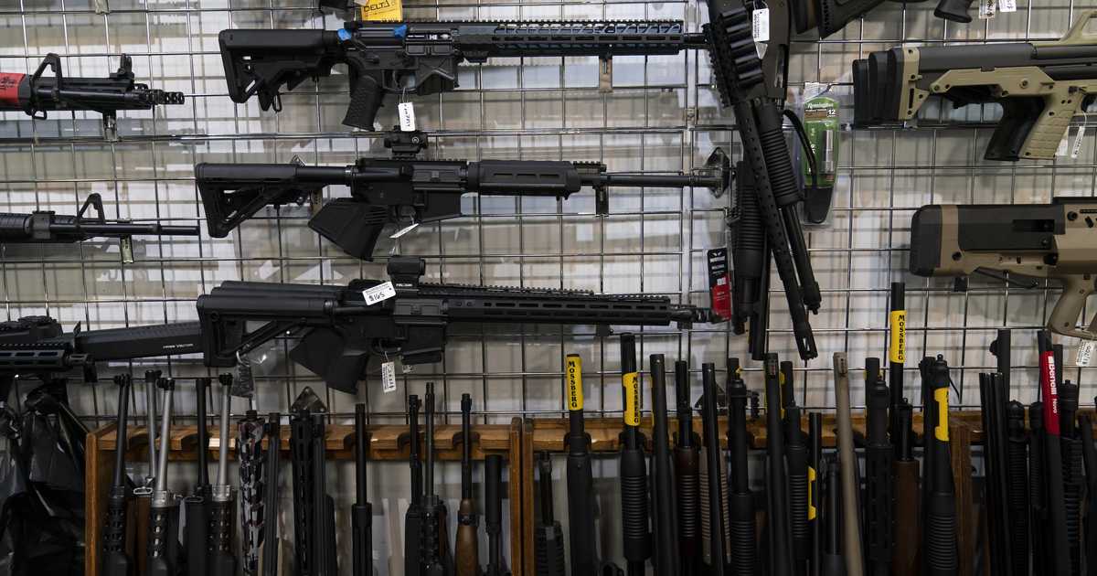 CNN Security Analyst: Young Males Should Not Have Access to Firearms