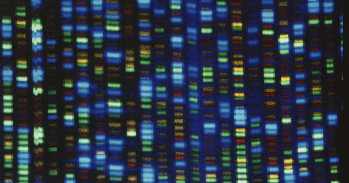 townhall.com - Casey Luskin - Intelligent Design Bears Good Scientific Fruit in the Study of 'Junk DNA