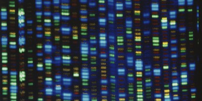 Intelligent Design Bears Good Scientific Fruit in the Study of 'Junk DNA'