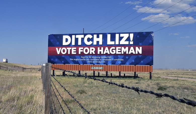 What's Never-Trumper Liz Cheney's Next Move?