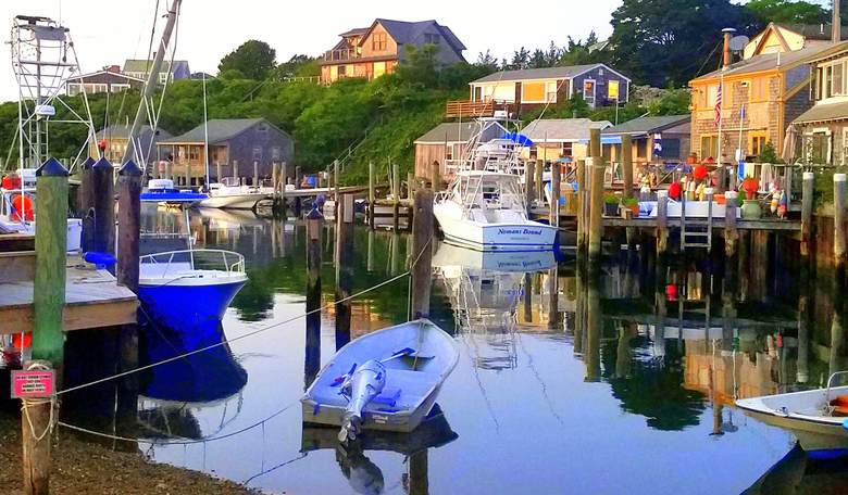 Martha's Vineyard's White Residents Emerge from Hiding After Invasion by Illegal Alien Horde
