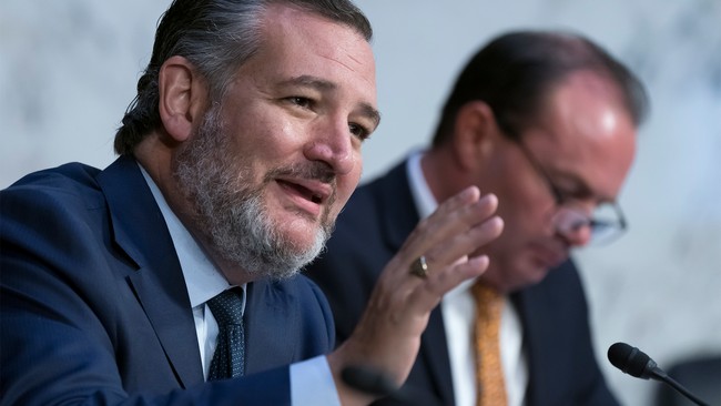 Ted Cruz Spills the Tea on Democrats' True Motivation for Blocking Aid to Israel