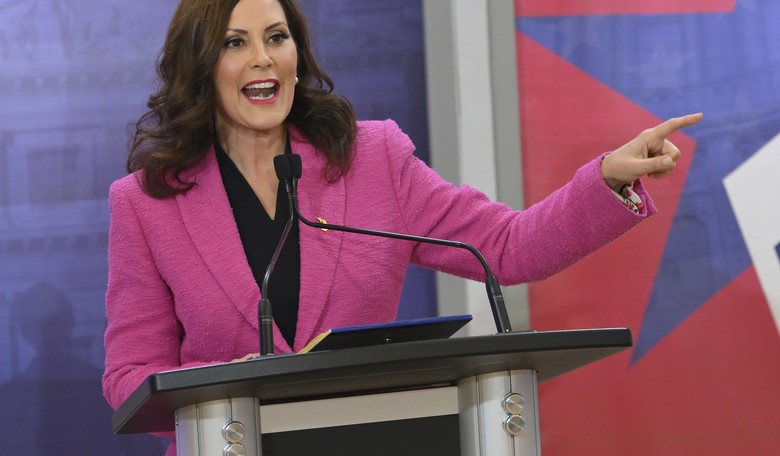 In Michigan, Improper Pronoun Use Could Land You in Jail