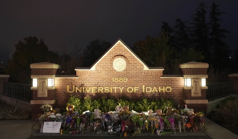 What's Strange About the Idaho College Murders