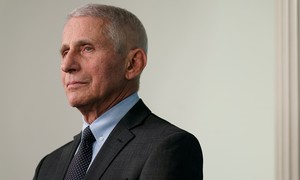 Meet the Fauci Enablers Asking for a Promotion