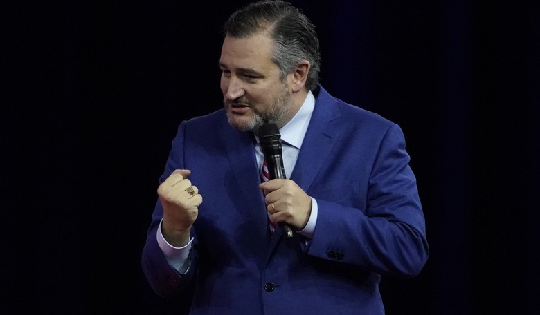 Cruz Warns Americans Are One SCOTUS Vote Away from 'Losing Our Fundamental Rights'