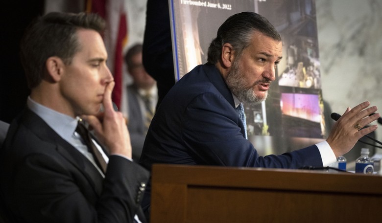 Ted Cruz Didn't Mince Words When Ripping Into Antony Blinken
