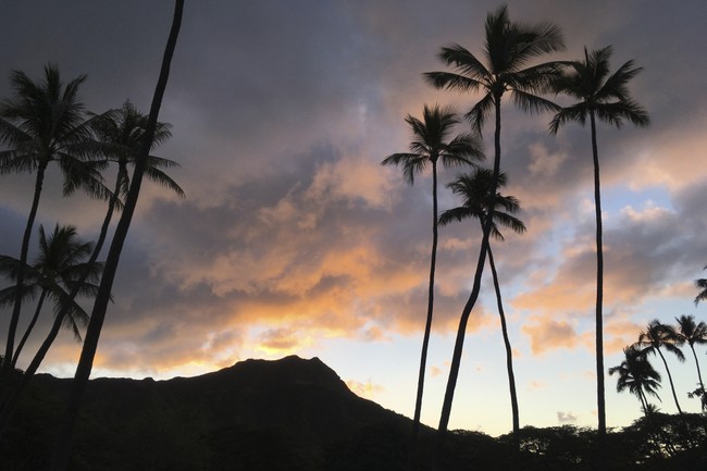 Hawaiian Violent Crime Data Might Not Be Remotely Accurate