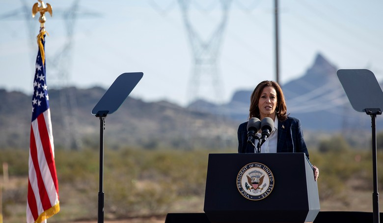 Obama Official Says Biden Should Consider New Running Mate Due to 'Succession' Concerns