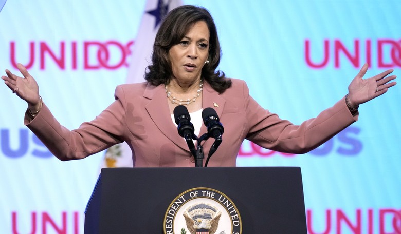 The Calls to Drop Kamala Harris in 2024 Are Growing