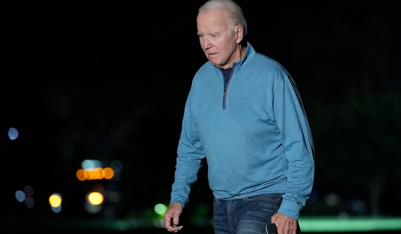 NYT: More Democrats Suffering From Restless Biden Syndrome 