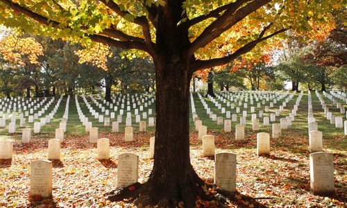 His Name Became X-7433, but 82 Years Later, Howard Came Home