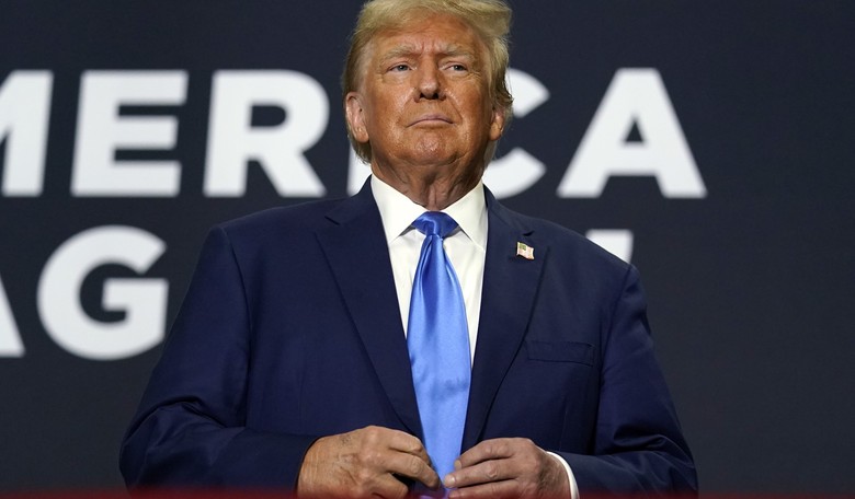 Don’t Blame Me, I Voted for Trump 