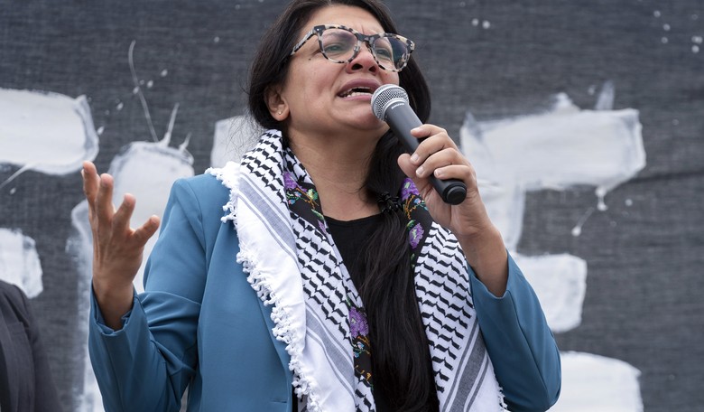 Rashida Tlaib Won't Condemn Acts of Domestic Terrorism Against Tesla