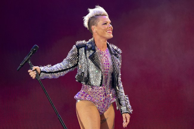 So Raise Your Glass, P!nk. You're Wrong About Florida Book Bans. - Vimarsana News