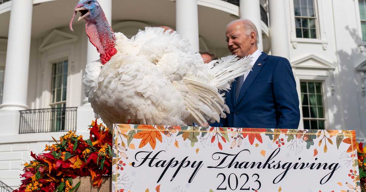 Biden White House Claims 'Key Prices Are Down' in Time for Thanksgiving 
