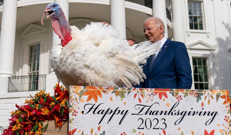Biden White House Claims 'Key Prices Are Down' in Time for Thanksgiving 