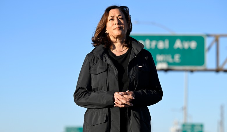 Does Kamala Harris Really Think Americans Are This Stupid? 