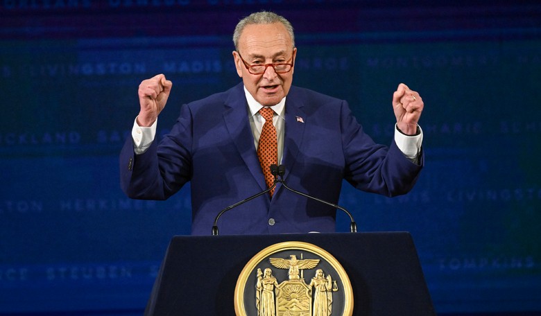 'WITCH HUNT'! Chuck Schumer sure sounds DIFFERENT now that it's an impeachment inquiry into BIDEN (watch)