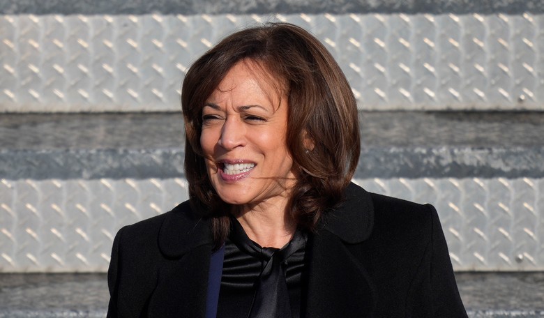 Kamala Harris Gives Another Delusional Non-Answer When Confronted With Her Unpopularity