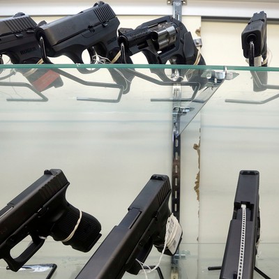 Anti-Gunners Won't Like the Findings of 2026 National Firearms Survey 