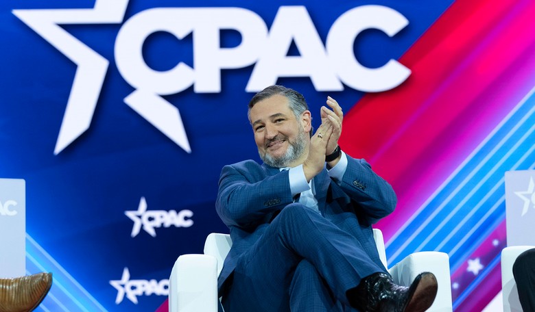 Ted Cruz Jumps Into LA Mayor Race, Praises Pratt's Viral Momentum