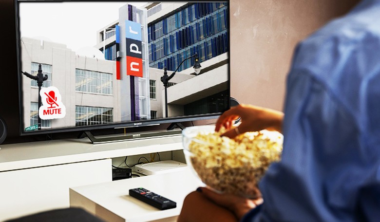 Time to Kill NPR and PBS