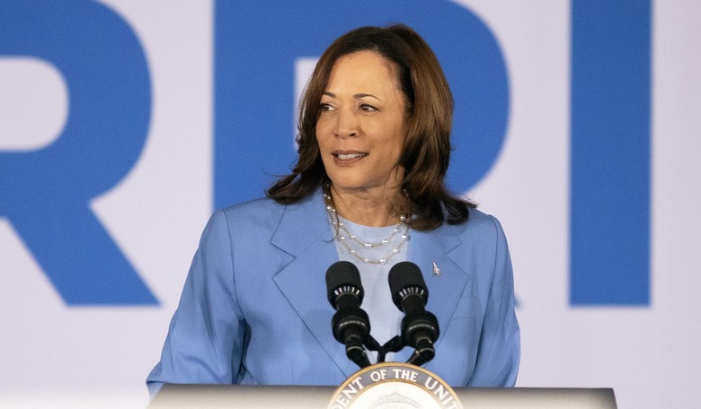 Biden Gone, Democrats Rally Around Worst Possible Candidate