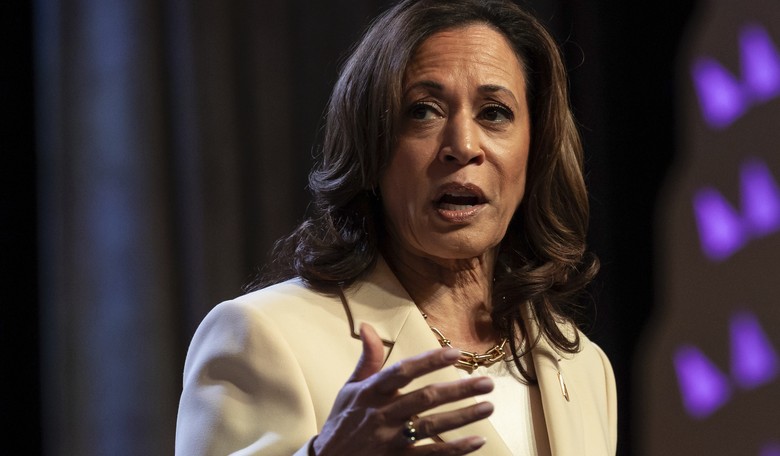 Experts Warn Kamala Harris' Tax Proposal Would Destroy America