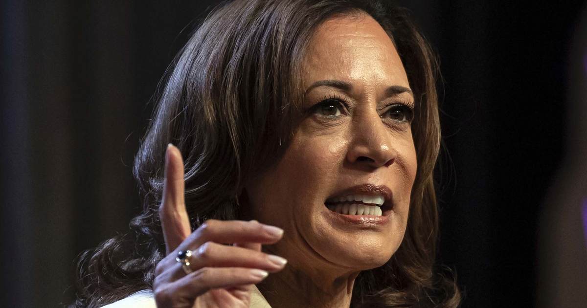 Military Members Fact-Checked Kamala Harris In Brutal Takedown