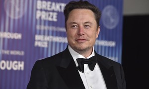 Elon Shuts Down Talarico's Unhinged Comment on America With Just One Word