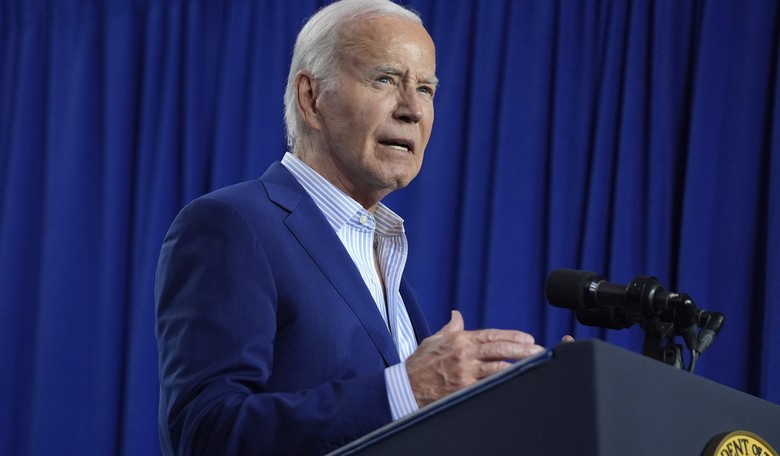 What Do Normies Think About Biden?