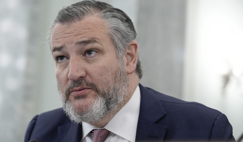 After 'Liberation Day,' Ted Cruz Has a Warning About What Happens If Democrats Take Control of the House