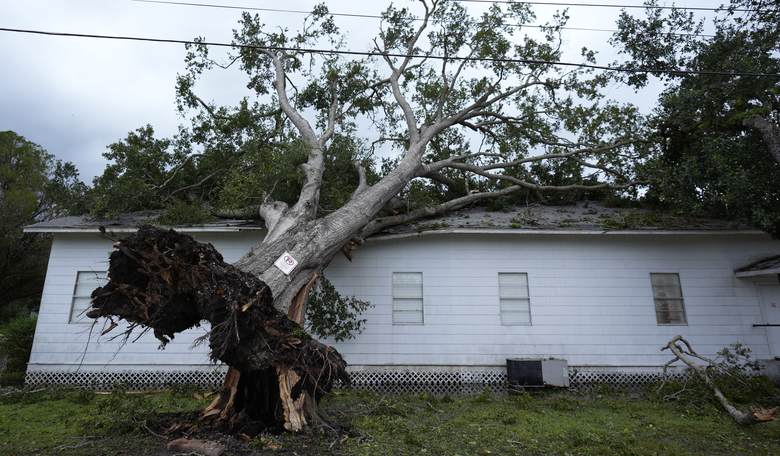 Florida Man vs. Hurricane Helene: The Gentleman’s Guide to the Golden Age of Storm Riding