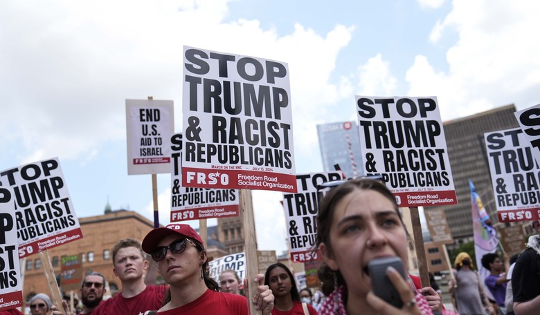 Someone Made Another Peculiar Observation About These Anti-Trump/Elon Protests 