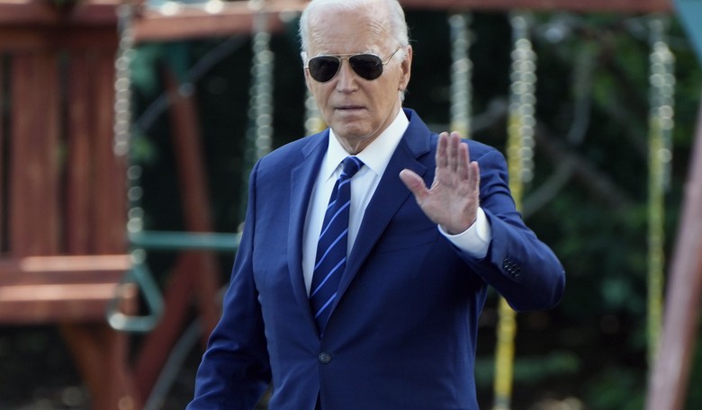 Is This Why Biden Was Slurring His Words During Call With Kamala's Campaign Staff?