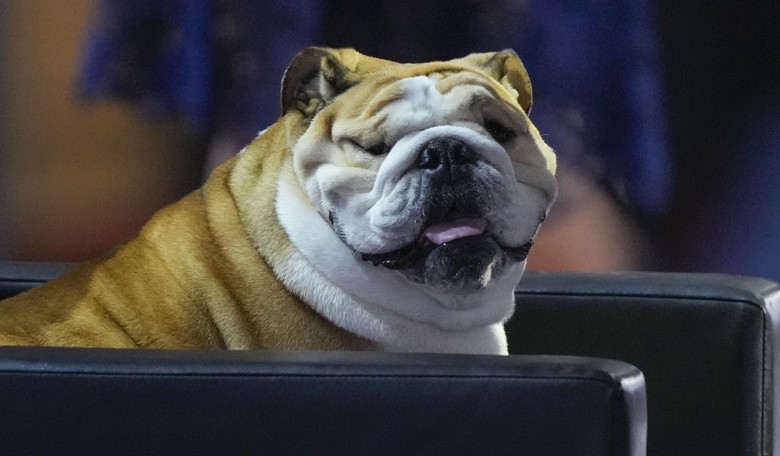 Did You See the Very Special Guest at the RNC Tuesday Night? 