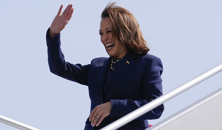 The DEI Attack on Kamala May Not Work... But Don't Forget This Crucial Part