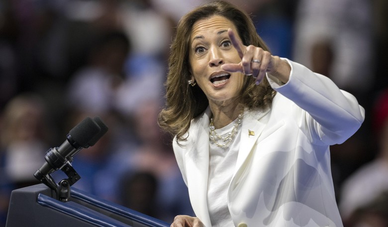 Kamala Harris Is at the Best She's Going to Be