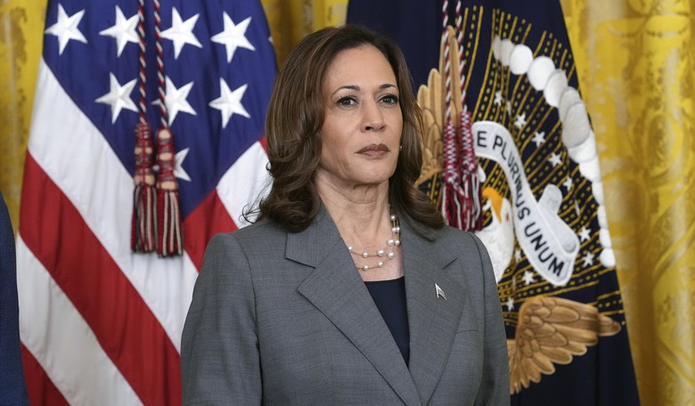 Kamala's Latest Atrocious Border Crisis Answer